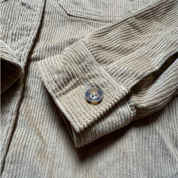 Buffalo David Bitton Small Corduroy Button Down - Picture 4 of 6